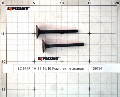 LC165F-1H 11-15/16 Комплект клапанов