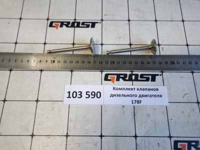 Комплект клапанов дизельного двигателя 178F