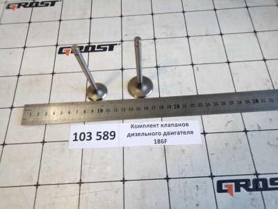 Комплект клапанов дизельного двигателя 186F